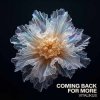 Pochette ViTaLiKuS - Coming Back for More ViTaLiKuS - Coming Back for More
