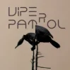 Pochette Viper Patrol - What Is (Original Mix) Viper Patrol - What Is (Original Mix)