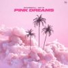 Pochette Drumball, SKY5 - Pink Dreams Drumball, SKY5 - Pink Dreams