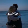 Pochette Don Diablo - Elephant Don Diablo - Elephant