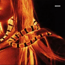 Pochette VERONIKA - Вколола