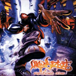Pochette Limp Bizkit - Dont Go Off Wandering