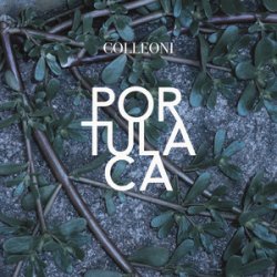 Pochette Colleoni - Sinonimi E Contrari