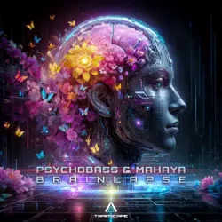Pochette Psychobass - The Mystery