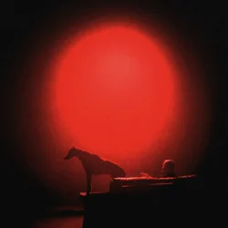 Pochette Grubson - HUSKY I CHART