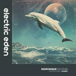 Pochette Gidronique - Dolphin