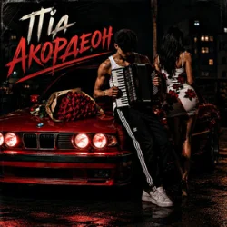 Pochette ZVUCAR & Kamelii Merlina - Під Акордеон