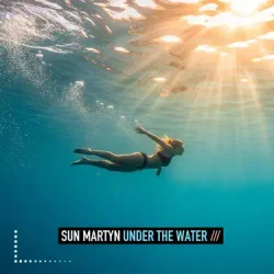 Pochette Sun Martyn - Choosing Motion
