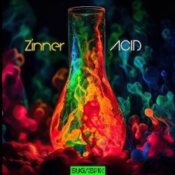 Pochette Zinner - Acid