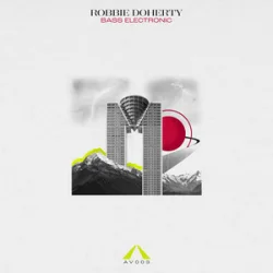 Pochette Robbie Doherty - Call It What You Like