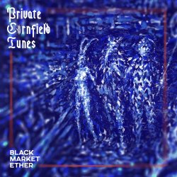 Pochette Private Cornfield Tunes - Fishermen