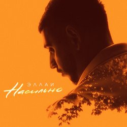 Pochette Эллаи - Насильно