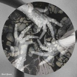 Pochette Atmos-fear - Por suerte soy fragil