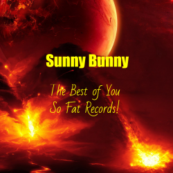 Pochette The Best of You So Fat Records!