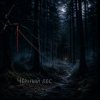 Pochette Ведьмина гора - Чёрный лес (extended) Ведьмина гора - Чёрный лес (extended)