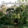 Pochette Калымщик - Forgotten happiness Калымщик - Forgotten happiness