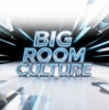 Pochette EvilanDark - Big Room Culture EvilanDark - Big Room Culture
