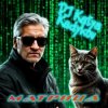 Pochette DJ Katya Kadykov - Матрица (minatrix_FM_edition) DJ Katya Kadykov - Матрица (minatrix_FM_edition)