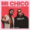 Pochette Dj Goja & Jason Derulo - Mi Chico (Dj Dark Remix) Dj Goja & Jason Derulo - Mi Chico (Dj Dark Remix)