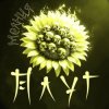 Плуг - Молния