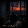 Pochette S. Brytan - Твоя любов S. Brytan - Твоя любов