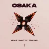 Pochette BEAUZ & Party Pi & triangel - OSAKA BEAUZ & Party Pi & triangel - OSAKA