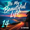 Pochette DJ FORTUNA - Its My Beautiful Life 14 DJ FORTUNA - Its My Beautiful Life 14
