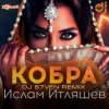 Pochette Ислам Итляшев - Кобра (DJ S7ven Radio Edit) Ислам Итляшев - Кобра (DJ S7ven Radio Edit)