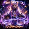 Pochette DJ Katya Kadykov - Кото - Ракамакафло DJ Katya Kadykov - Кото - Ракамакафло