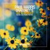 Paul Harris, Dragonette - One Night Lover (Nora En Pure Instrumental Club Mix)