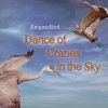 Pochette EnigmaBird - Dance of Cranes in the Sky EnigmaBird - Dance of Cranes in the Sky