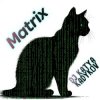 Pochette DJ Katya Kadykov - Matrix (minatrix_edition) DJ Katya Kadykov - Matrix (minatrix_edition)
