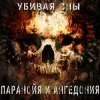 Pochette Паранойя и Ангедония - Дурачек Паранойя и Ангедония - Дурачек
