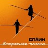 Pochette Сплин - Когда пройдет 100 лет Сплин - Когда пройдет 100 лет