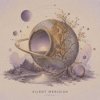 Pochette ViTaLiKuS - Silent Meridian ViTaLiKuS - Silent Meridian