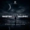 Pochette Wasted & Dulehec - Sleepless Horizons Wasted & Dulehec - Sleepless Horizons