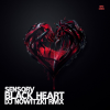 Pochette SENSORV - Black Heart (DJ Nowitzki Remix) SENSORV - Black Heart (DJ Nowitzki Remix)