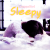 Pochette EnigmaBird - Sleepy EnigmaBird - Sleepy