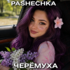 Pochette Pashechka - Черёмуха. Pashechka - Черёмуха.
