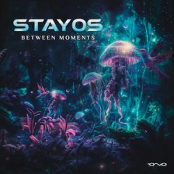 Pochette Stayos - Tov Li (Original Mix)