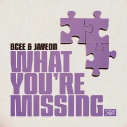 Pochette BCee & Javeon - What You're Missing