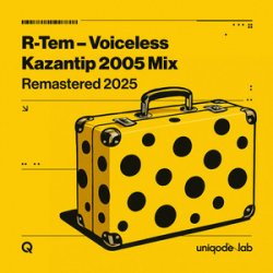 Pochette R-Tem - Voiceless (5aint Nicola5 remix)