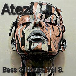 Pochette Bass House Vol 8.