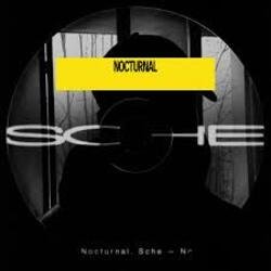 Pochette Sche - N Y 0.2