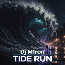 Pochette The Run