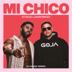 Pochette Dj Goja & Jason Derulo - Mi Chico (Dj Dark Remix)