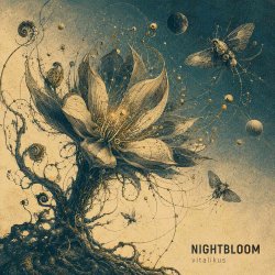 Pochette ViTaLiKuS - NIGHTBLOOM