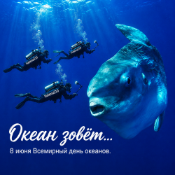 Pochette Helena210 - Океан 🌊