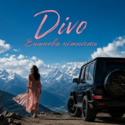 Pochette Divo - Вишнева ніжність