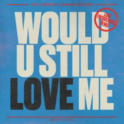 Pochette Diplo & Cameron Whitcomb - Would U Still Love Me (Lost Frequencies Remix)